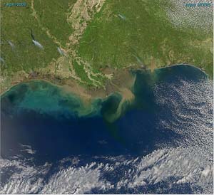 Sediment in the Gulf of Mexico Map