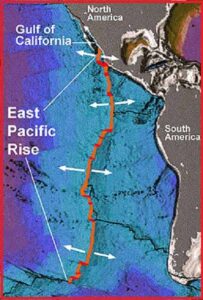 Восточно-Тихоокеанский рифт (The East Pacific Rise)